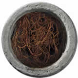 drain cleaning, rooter, slow drain, drain, slow, dirty, water, roots, clean-out, snake, toilet, wont, flush, flushes, slowly